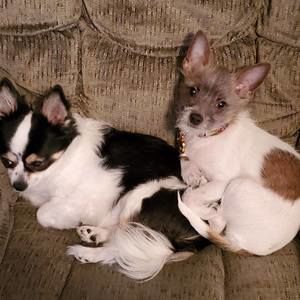 Meet your Posher, Cathy